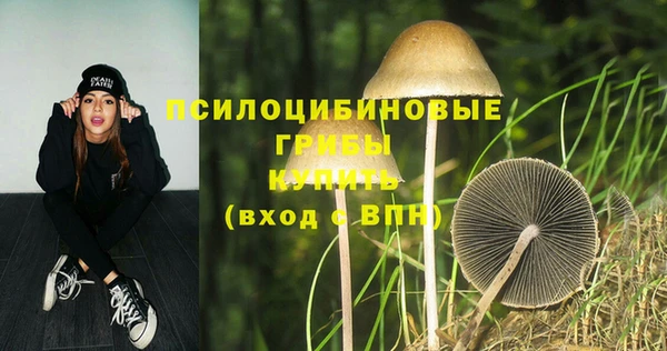 спайс Абинск